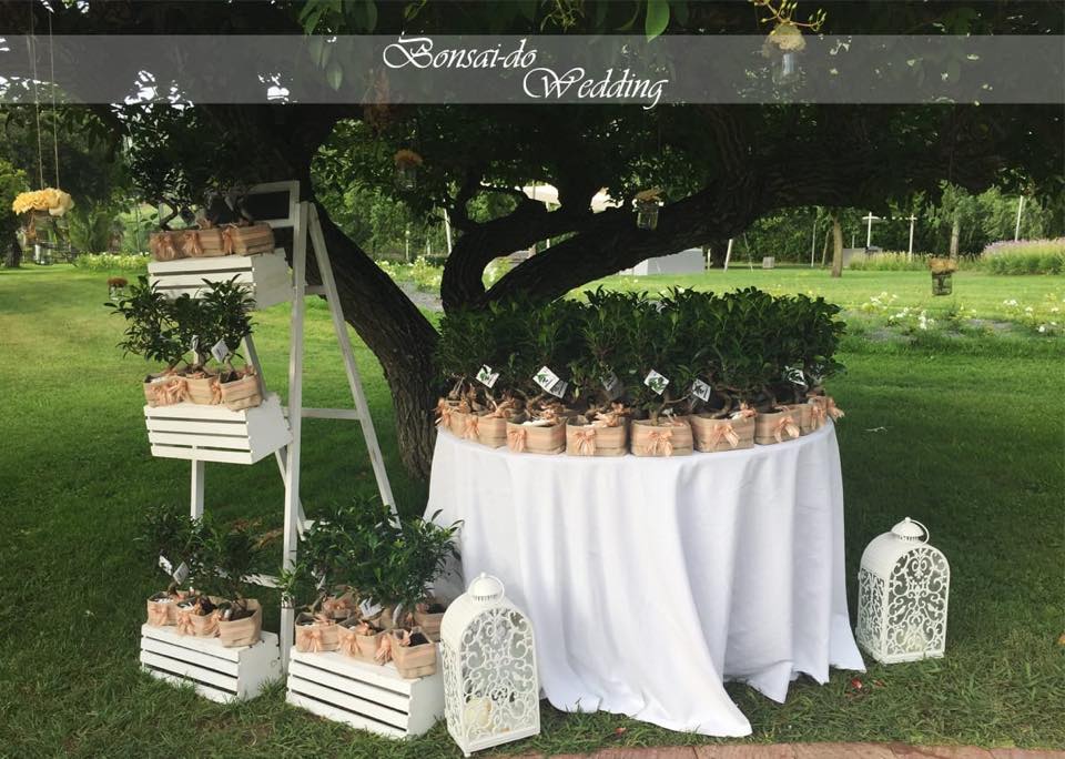 Sposincampania Bonsai Do Wedding Sposincampania