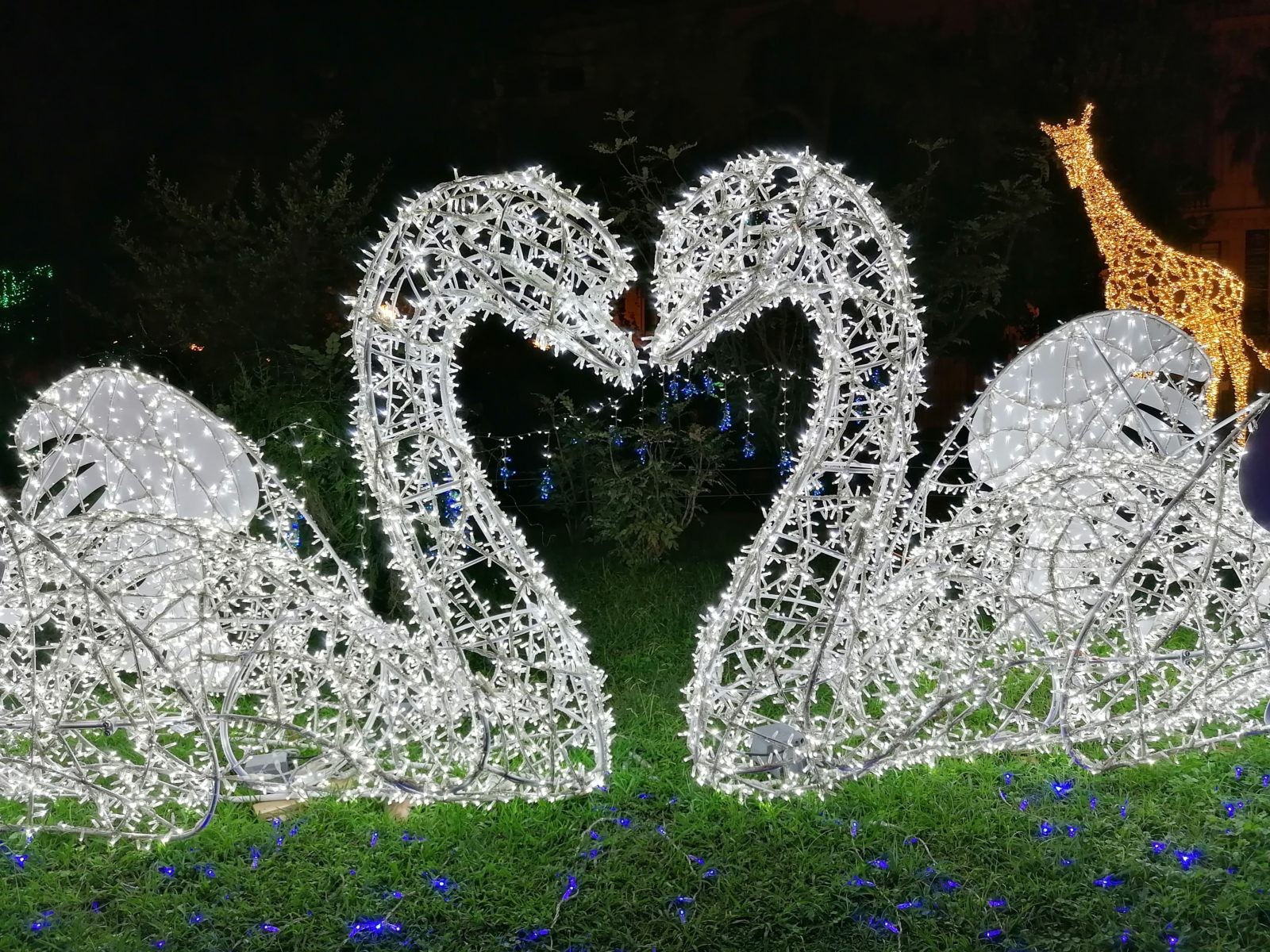 Luci d’Artista, a Salerno è amore splendente