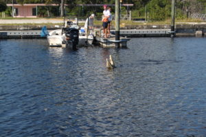Sposi in Campania alla scoperta della Florida