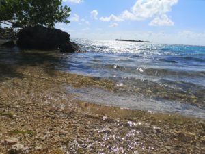 posi in Campania Alla scoperta del Sunshine State