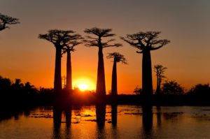 Madagascar: la terra delle meraviglie