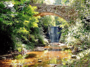 montella, montella montagne e sapori tipici, sapori tipici montella, comune di montella, sposincampania, local storie sposincampania, montella irpinia, turismo irpinia, turismo montella, irpinia, turismo wedding campania