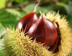 montella, montella montagne e sapori tipici, sapori tipici montella, comune di montella, sposincampania, local storie sposincampania, montella irpinia, turismo irpinia, turismo montella, irpinia, turismo wedding campania