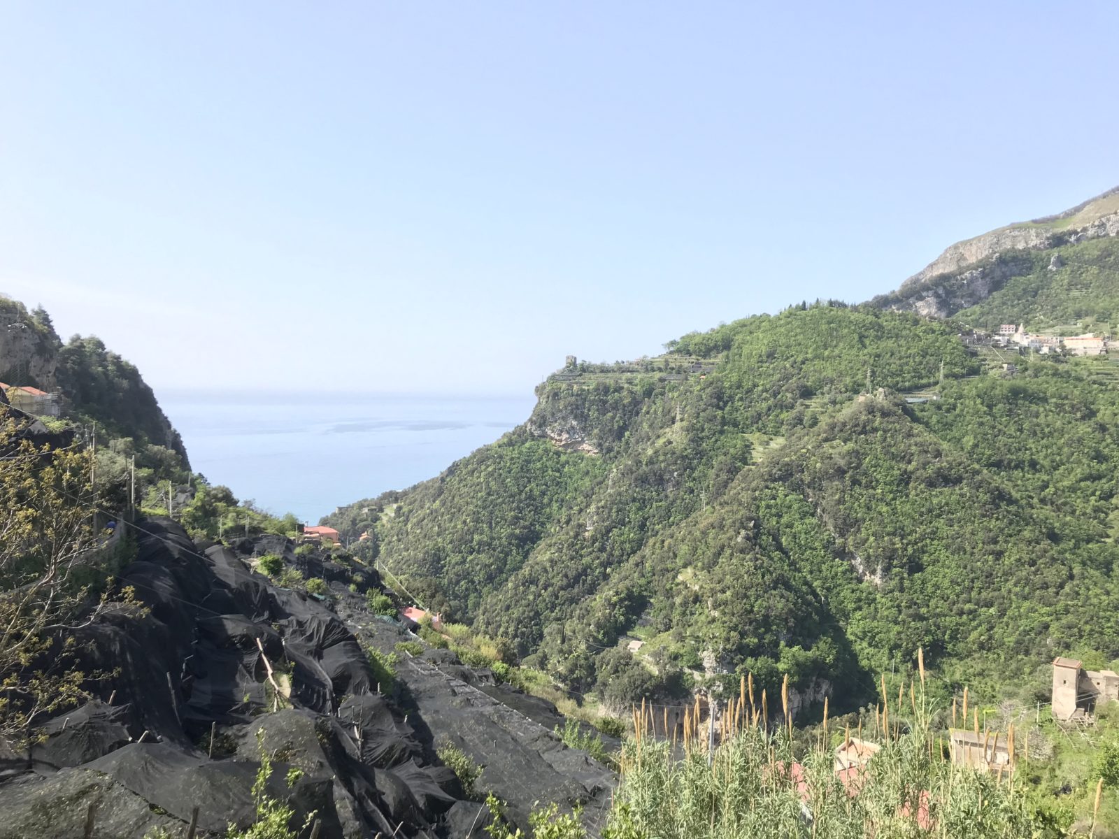 agerola, costiera amalfitana, agerola campania, regione campania, sposi campania, turismo campania, valle delle ferriere, spaghetti alla nerano, provolone del monaco, turismo