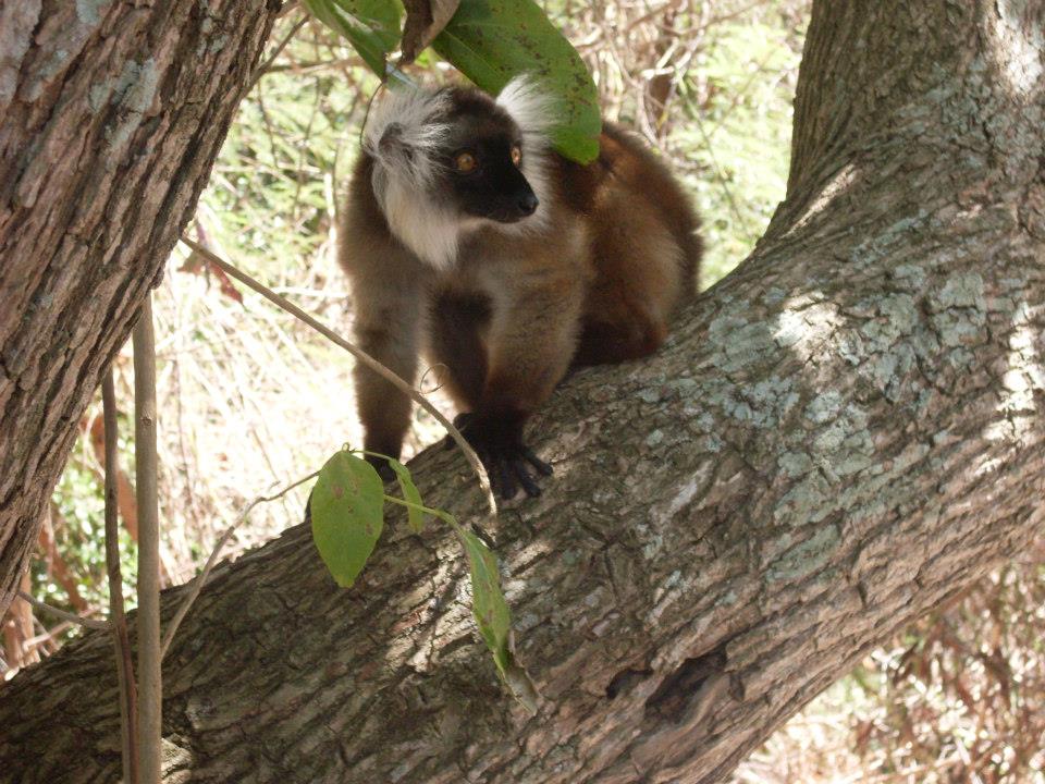 Madagascar: le isole da non perdere