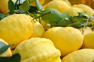 Amalfi: tra spiagge, storia e gli immancabili limoni