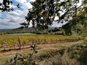Viaggio in Italia: 3 tappe per la luna di miele, viaggio in italia, luna di miele italia, viaggio di nozze italia, turismo italia, turismo toscana, turismo valle d'aosta, turismo riviera conero, toscana, riviera conero, monte bianco, valle d'aosta, turismo italia, wedding tourism