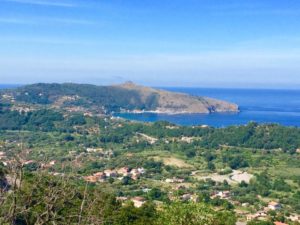 cilento, cilento mare, cilento natura, paestum, palinuro, marina di camerota, acciaroli