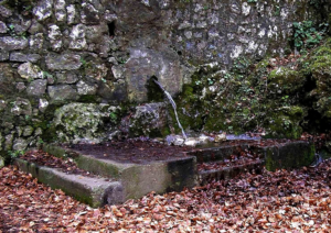 Sorgente della Lontra