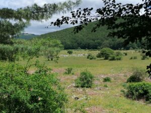 Comunità Montana Terminio Cervialto, Irpinia, turismo, turismo irpinia, turismo regione campania, turismo campania, regione campania, enogastronomia irpinia, enogastronomia campania, monte terminio, monte cervialto, borghi irpinia, borghi campania, wedding campania, wedding irpinia, wedding tourism