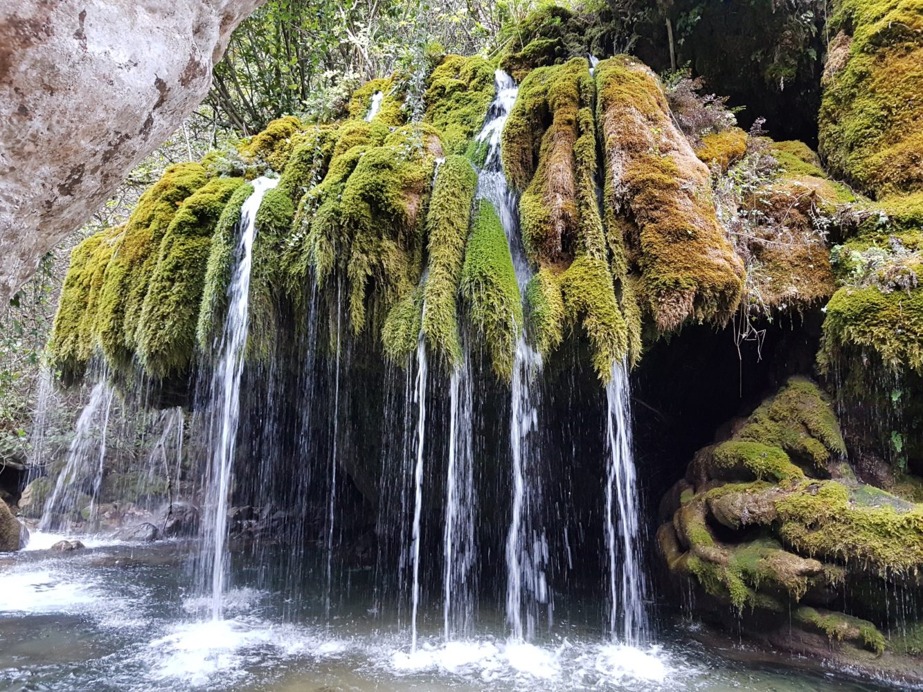 Casaletto Spartano e la magia dei "Capelli di Venere", casaletto spartano, capelli di venere, cascata capelli di venere, oasi morigerati, bussentino, cilento, turismo cilento, turismo campania, enogastronomia campania, prosciutto casaletto spartano