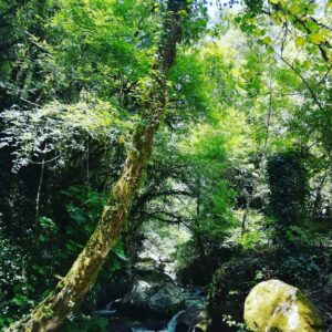 Casaletto Spartano e la magia dei "Capelli di Venere", casaletto spartano, capelli di venere, cascata capelli di venere, oasi morigerati, bussentino, cilento, turismo cilento, turismo campania, enogastronomia campania, prosciutto casaletto spartano