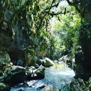 Casaletto Spartano e la magia dei "Capelli di Venere", casaletto spartano, capelli di venere, cascata capelli di venere, oasi morigerati, bussentino, cilento, turismo cilento, turismo campania, enogastronomia campania, prosciutto casaletto spartano