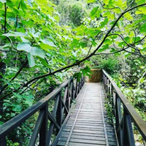 Casaletto Spartano e la magia dei "Capelli di Venere", casaletto spartano, capelli di venere, cascata capelli di venere, oasi morigerati, bussentino, cilento, turismo cilento, turismo campania, enogastronomia campania, prosciutto casaletto spartano