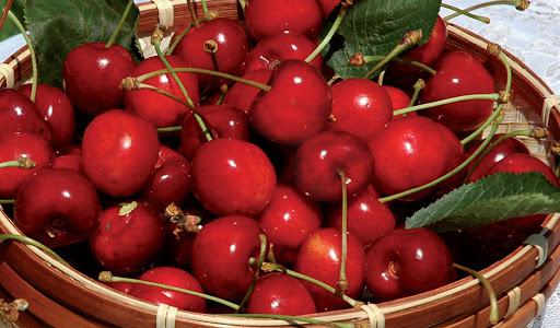 La ciliegia del Monte e l'Arecca: i frutti made in “Campania”, parco nazionale del vesuvio, vesuvio, turismo campania, enogastronomia campania, wedding campania, ciliegie campania, vesuvio sposincampania
