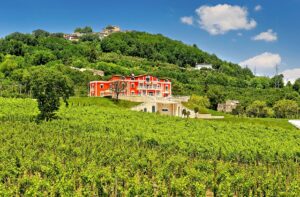 Green e Wine Wedding: l'Open Day di Tenuta Ippocrate, tenuta ippocrate, green e wine wedding, tenuta ipocrate agriresort, sposincampania media partner, eventi wedding, wedding campania, matrimoni campania, eventi