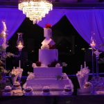 A Tenuta Ippocrate un evento magico: Green e Wine Wedding, tenuta ippocrate, tenuta ippocrate agriresort, open day tenuta ippocrate, maria la marca wedding planner, sposincampania media partner, enzo costanza, eventi campania, wedding campania, sposi campania,
