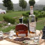 A Tenuta Ippocrate un evento magico: Green e Wine Wedding, tenuta ippocrate, tenuta ippocrate agriresort, open day tenuta ippocrate, maria la marca wedding planner, sposincampania media partner, enzo costanza, eventi campania, wedding campania, sposi campania,