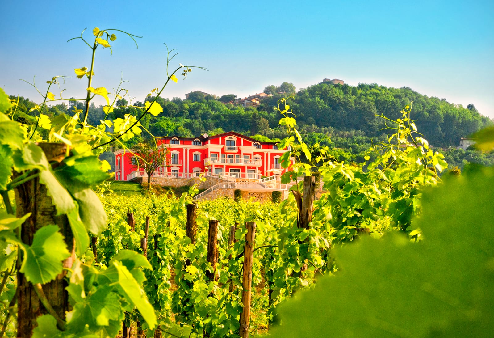 Tenuta Ippocrate, Tenuta Ippocrate Agriresort, Tenuta Ippocrate Location, Tenuta Ippocrate Avellino, Tenuta Ippocrate location wedding, Tenuta Ippocrate green e wine wedding, tenuta ippocrate benessere, tenuta ippocrate location campania, matrimoni campania, location campania, location avellino, wedding campania, wedding avellino, sposi