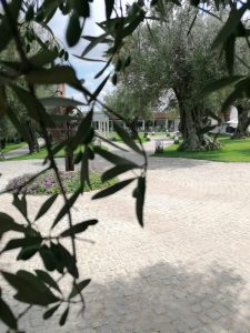 Aquamadre: il matrimonio Live social, aquamadre natura d'eventi, sposincampania, matrimonio live social sposincampania, esclusiva sposincampania, matrimonio live social esclusiva sposincampania, aquamadre location, aquamadre natura d'eventi location, fabiana e domenico sposi, simona di grazia, simona di grazia manager aquamadre, wedding campania