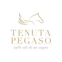 pegaso