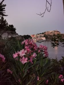 Procida Experience 2022