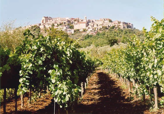 Torrecuso: tradizione e sapori del borgo beneventano, torrecuso, torrecuso benevento, turismo campania, enogastronomia campania, torrecuso taburno, vino taburno