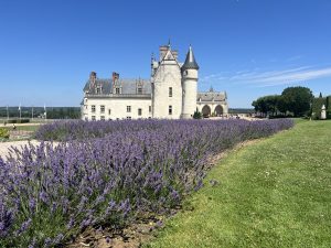 Loira: la regione dei castelli - Amboise