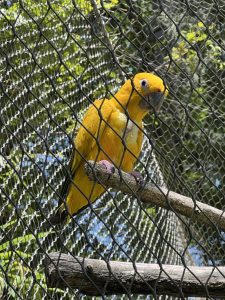 Zoo Beauval