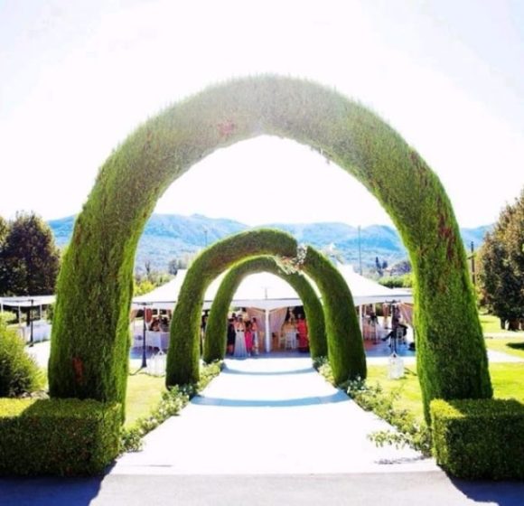 tenuta pegaso 4