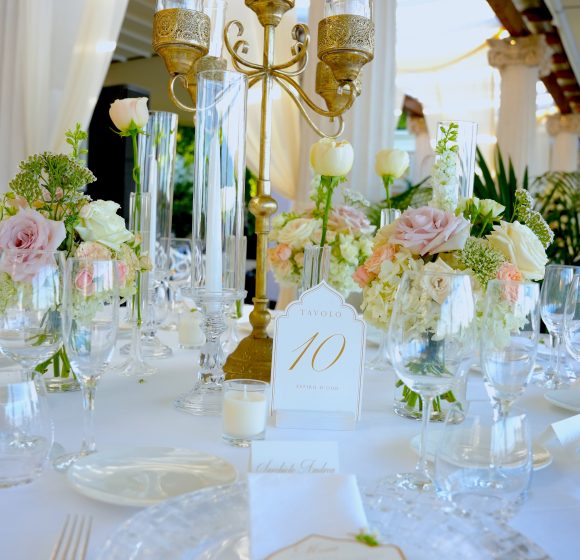 MARIA SAVIANO TOP 18