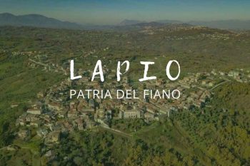 lapio