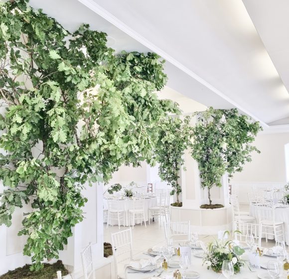 tenuta pegaso 25
