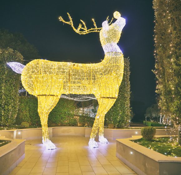 tenuta pegaso 35