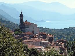 vibonati