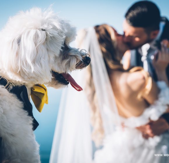 Matrimonio_Benevento_Sposi con cane