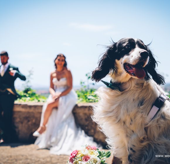 Matrimonio_Caserta_Sposi con cane_Bouquet