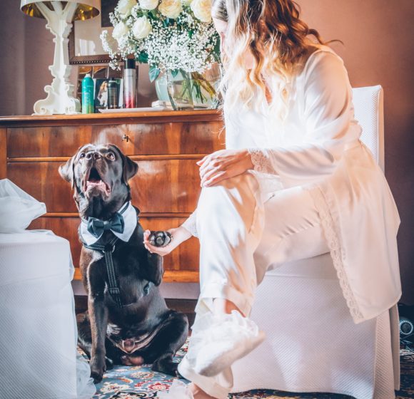 Matrimonio_Napoli_Sposa con cane_Preparativi