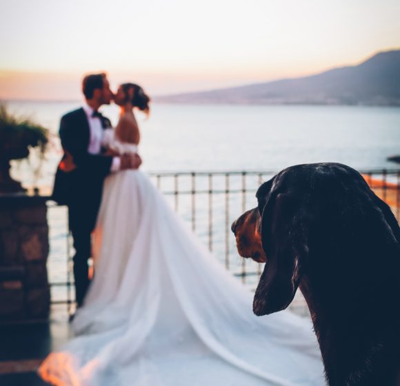 Matrimonio_Sorrento_Sposi con cane