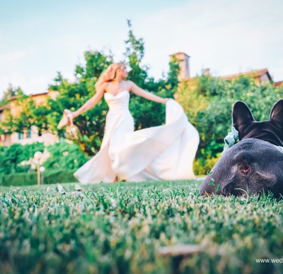 Matrimonio_Sposa con cane
