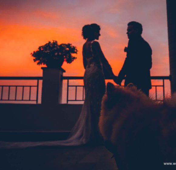 Matrimonio_Amalfi_Sposi con cane