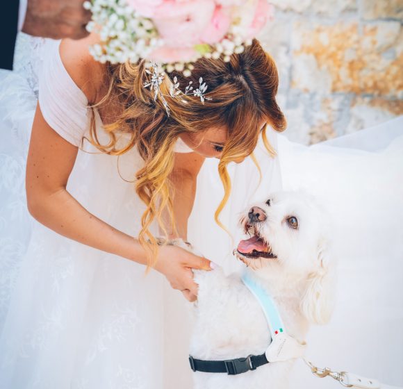 Matrimonio_Sposa con cane(1)
