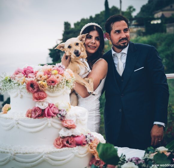Matrimonio_Vietri_Sposi con cane_Torta
