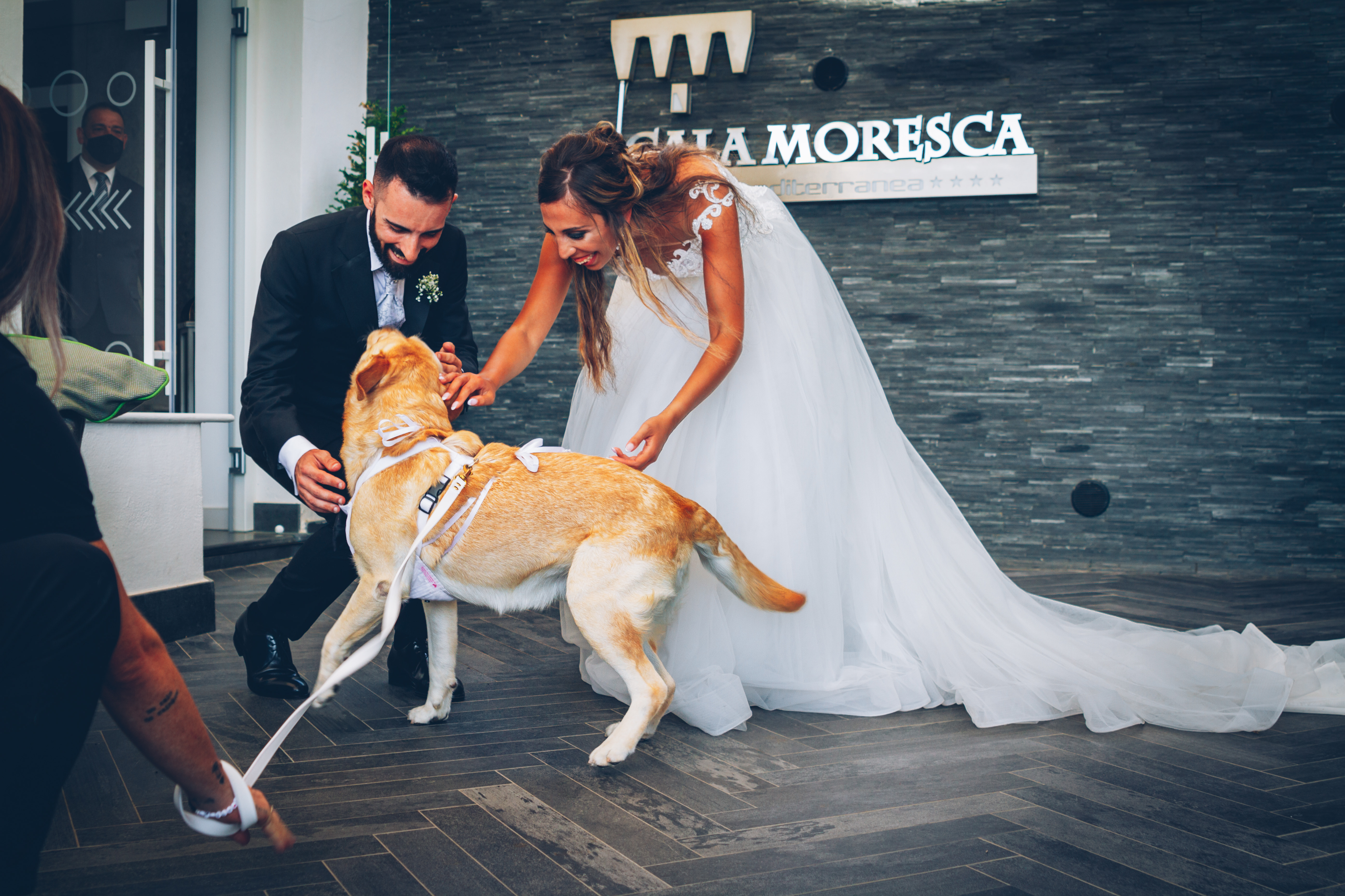 Il cane al matrimonio: un sogno che va gestito con competenza, wedding dog sitter, wedding dog sitter campania, wedding dog sitter matrimoni, amici a 4 zampe, matrimoni con cane, matrimoni con amici a 4 zampe, wedding dog sitter sposincampania, wedding dog sitter sposi