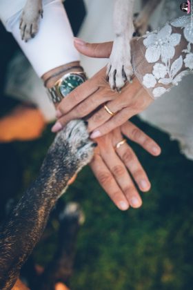 Il cane al matrimonio: un sogno che va gestito con competenza, wedding dog sitter, wedding dog sitter campania, wedding dog sitter matrimoni, amici a 4 zampe, matrimoni con cane, matrimoni con amici a 4 zampe, wedding dog sitter sposincampania, wedding dog sitter sposi
