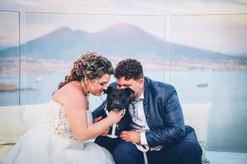 Il cane che porta le fedi al matrimonio: come farlo in sicurezza, Il cane che porta le fedi al matrimonio, wedding dog sitter, wedding dog sitter campania, wedding dog sitter matrimoni, amici a 4 zampe, matrimoni con cane, matrimoni con amici a 4 zampe, wedding dog sitter sposincampania, wedding dog sitter sposi