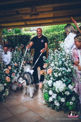 Il cane che porta le fedi al matrimonio: come farlo in sicurezza, Il cane che porta le fedi al matrimonio, wedding dog sitter, wedding dog sitter campania, wedding dog sitter matrimoni, amici a 4 zampe, matrimoni con cane, matrimoni con amici a 4 zampe, wedding dog sitter sposincampania, wedding dog sitter sposi