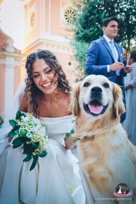Il cane si stressa al matrimonio? Come gestirlo nel modo corretto, wedding dog sitter, wedding dog sitter campania, wedding dog sitter matrimoni, amici a 4 zampe, matrimoni con cane, matrimoni con amici a 4 zampe, wedding dog sitter sposincampania, wedding dog sitter sposi
