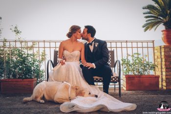 Matrimonio e cane Costiera Amalfitana: organizzarlo senza stress, matrimonio con cane Costiera Amalfitana Wedding Dog Sitter Costiera Amalfitana cane al matrimonio ad Amalfi cane al matrimonio a Positano matrimonio dog friendly Ravello servizio Wedding Dog Sitter Salerno, Wedding Dog Sitter, wedding dog sitter campania, wedding dog sitter matrimoni, amici a 4 zampe, matrimoni con cane, matrimoni con amici a 4 zampe, wedding dog sitter sposincampania, wedding dog sitter sposi