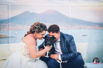 Matrimonio con cane a Napoli: che serve per una giornata perfetta, Wedding Dog Sitter, Wedding Dog Sitter Campania, matrimonio con cane Napoli, Wedding Dog Sitter Napoli, cane al matrimonio Napoli, servizio per cane matrimonio Napoli, sposi con cane in Campania, dog sitter matrimonio Napoli centro